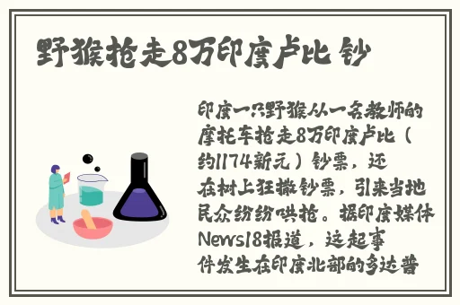 少女老年镖客视频播放时间